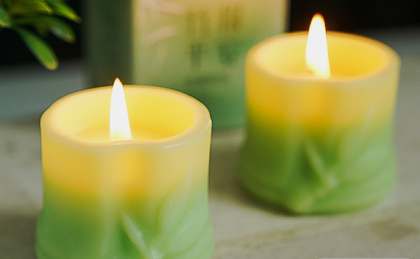 Aromatherapy plants soy candles gift